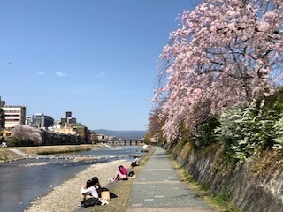 京都鴨川