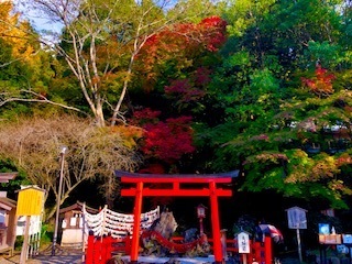 亀岡出雲大神宮