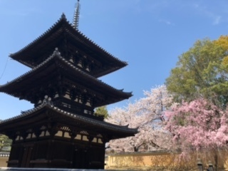 奈良興福寺